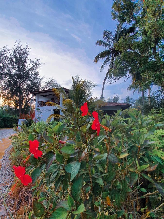 Flame Tree Cottages Нунгви Экстерьер фото