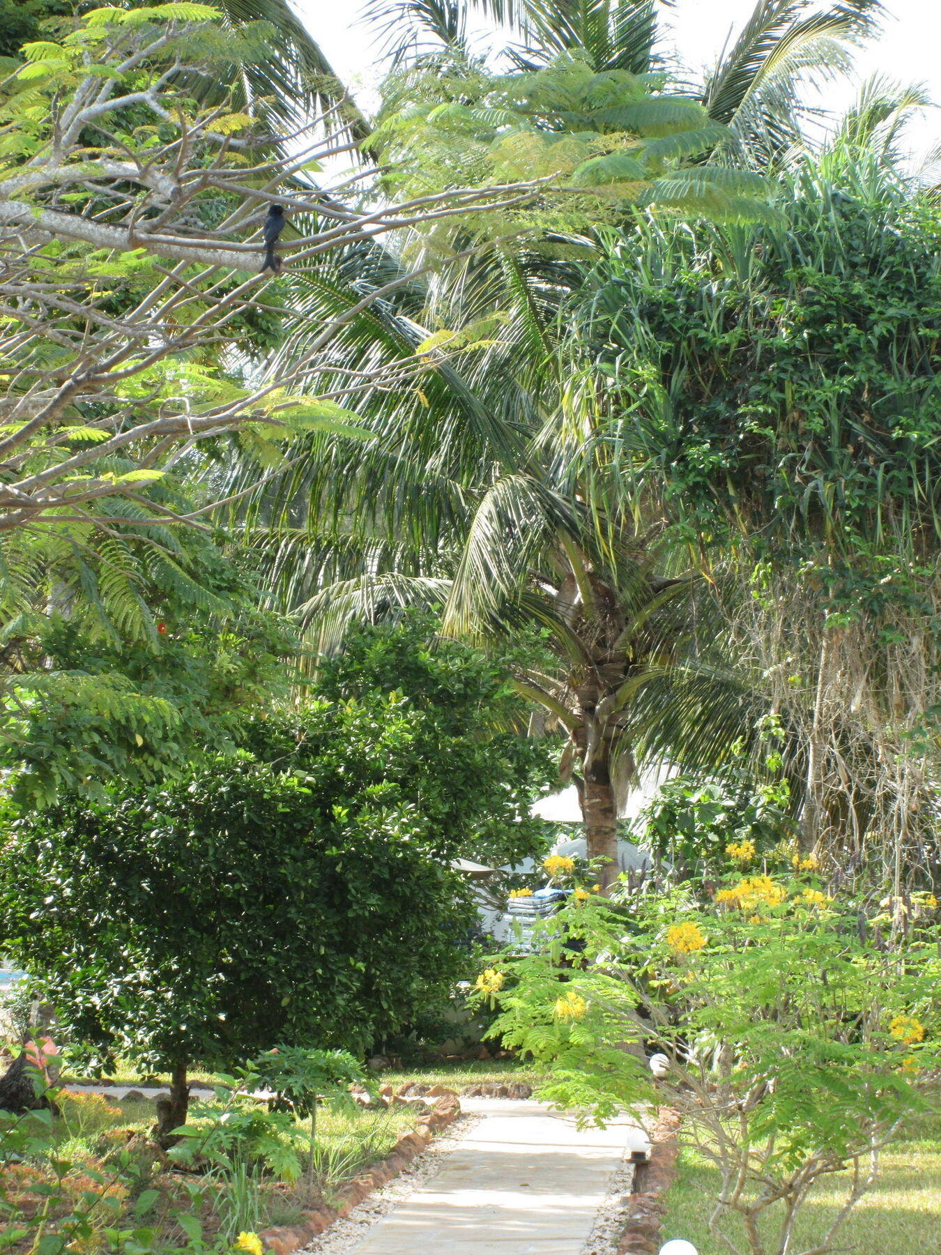 Flame Tree Cottages Нунгви Экстерьер фото